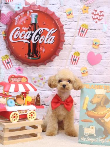 20230929キャンディくん